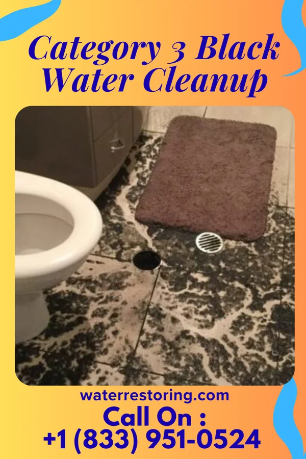 Category 3 Black Water Cleanup in Lauderhill, FL